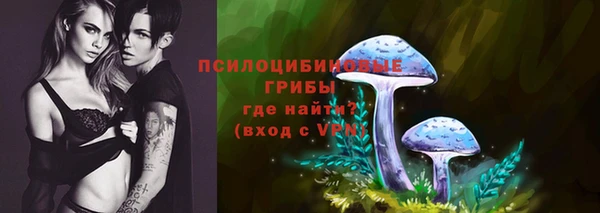 гашик Абаза
