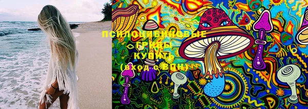 ПСИЛОЦИБИНОВЫЕ ГРИБЫ Абдулино