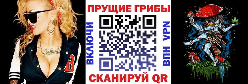Псилоцибиновые грибы мухоморы Кимовск