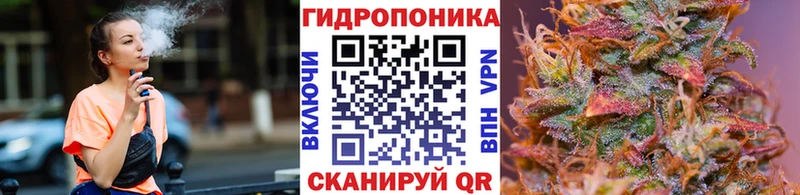 MEGA онион  Кимовск  Канабис White Widow 
